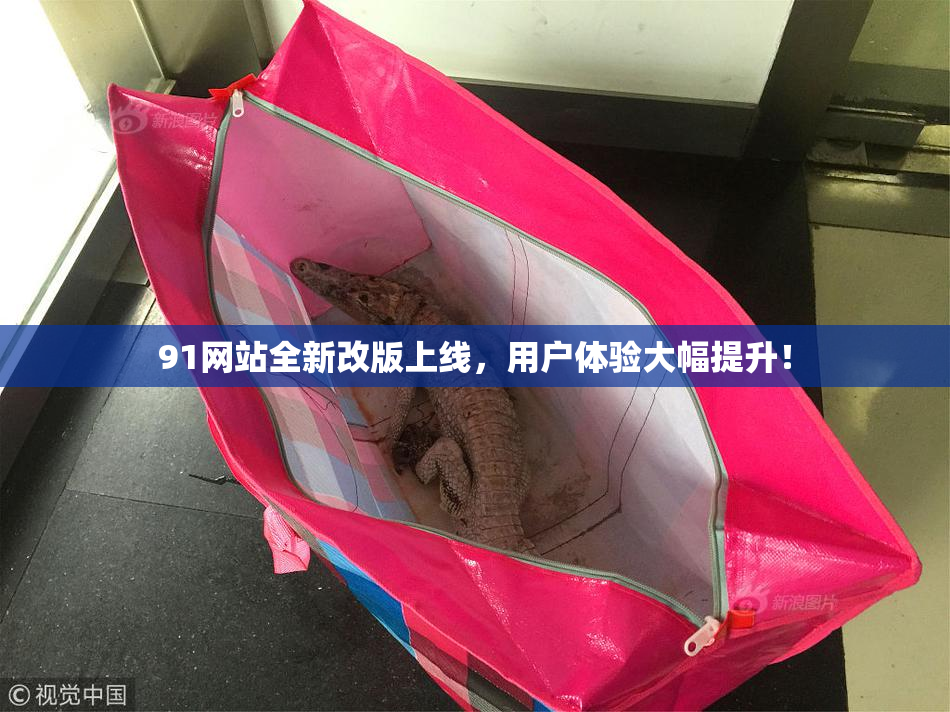 91网站全新改版上线，用户体验大幅提升！