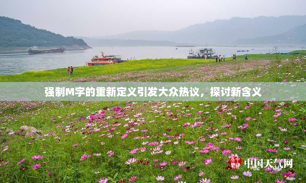 强制M字的重新定义引发大众热议，探讨新含义