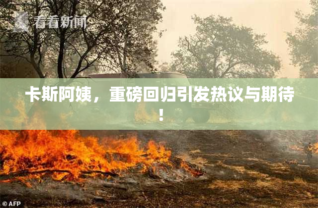 卡斯阿姨，重磅回归引发热议与期待！