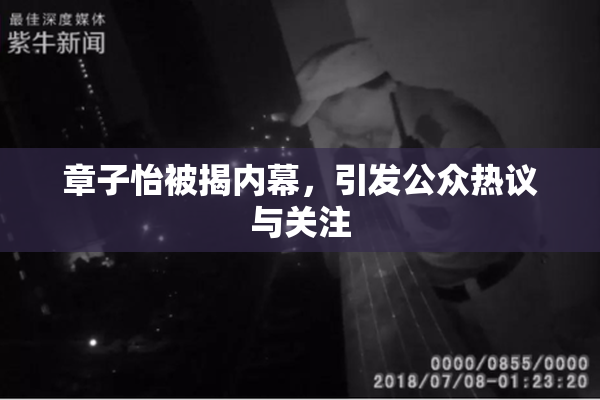 章子怡被揭内幕，引发公众热议与关注