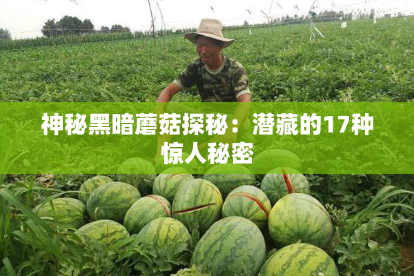 神秘黑暗蘑菇探秘：潜藏的17种惊人秘密