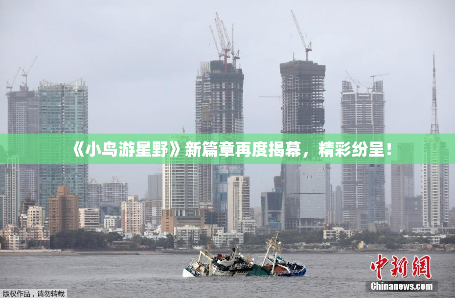 《小鸟游星野》新篇章再度揭幕，精彩纷呈！