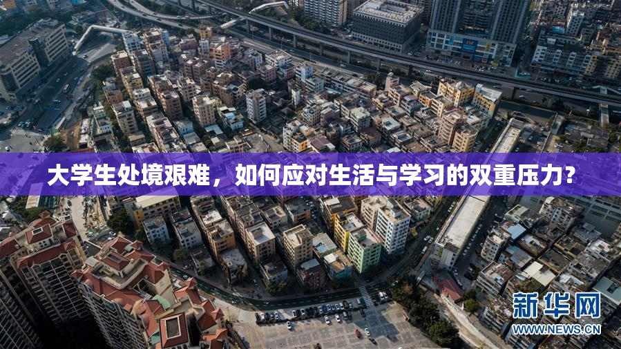 大学生处境艰难，如何应对生活与学习的双重压力？