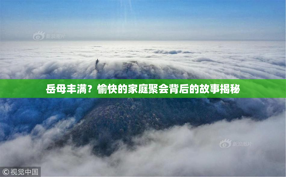 岳母丰满？愉快的家庭聚会背后的故事揭秘