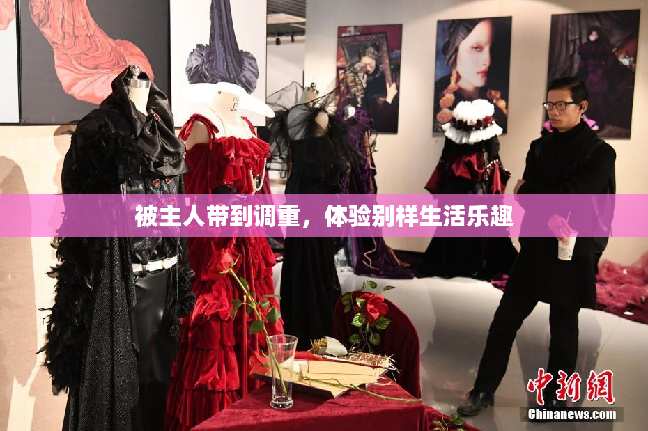 被主人带到调重，体验别样生活乐趣