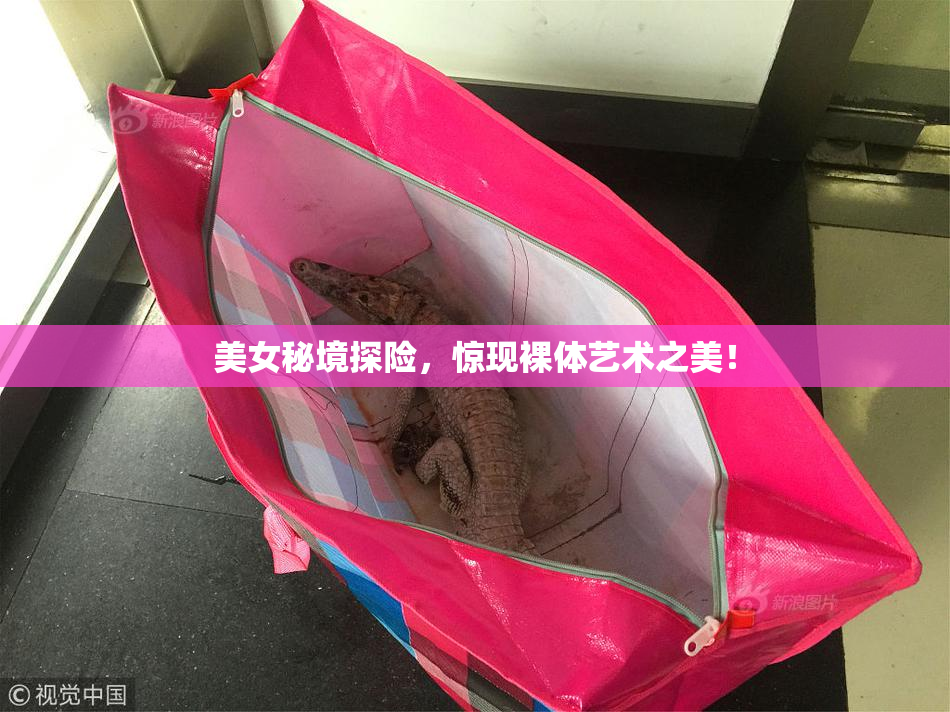 美女秘境探险，惊现裸体艺术之美！