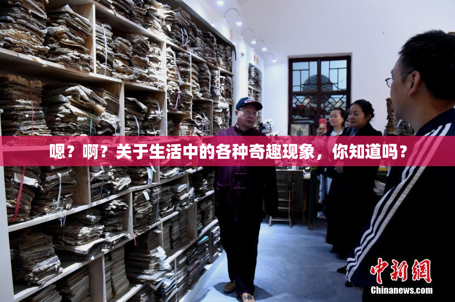 嗯？啊？关于生活中的各种奇趣现象，你知道吗？