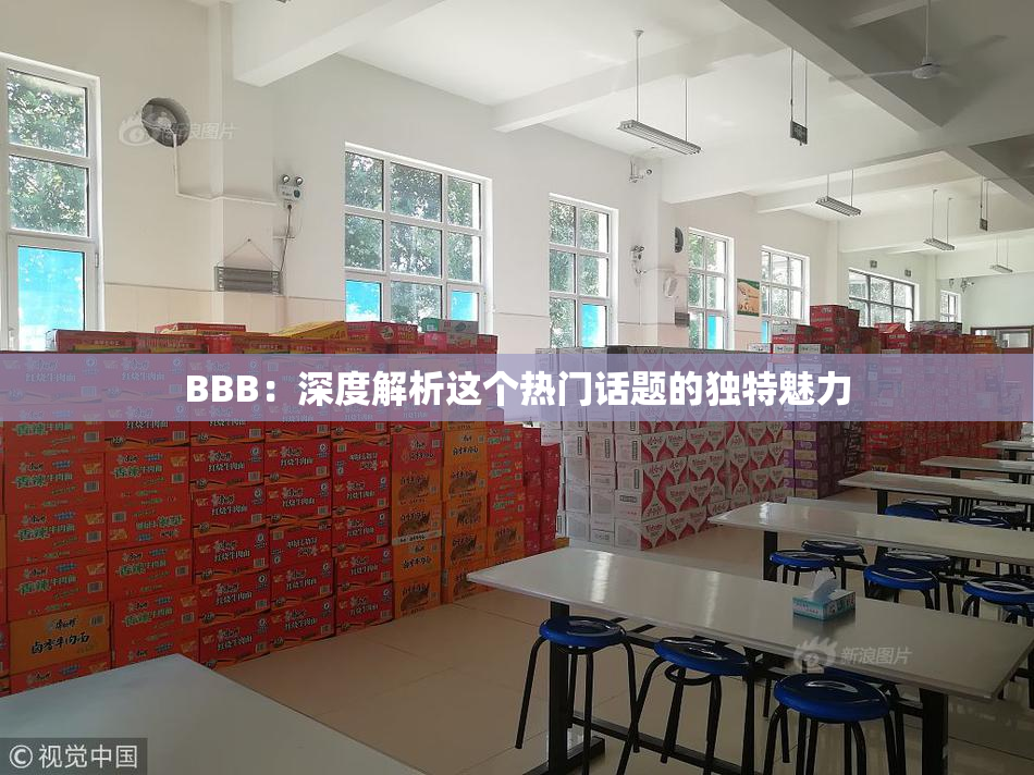 BBB：深度解析这个热门话题的独特魅力