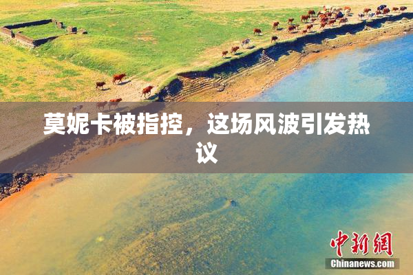 莫妮卡被指控，这场风波引发热议