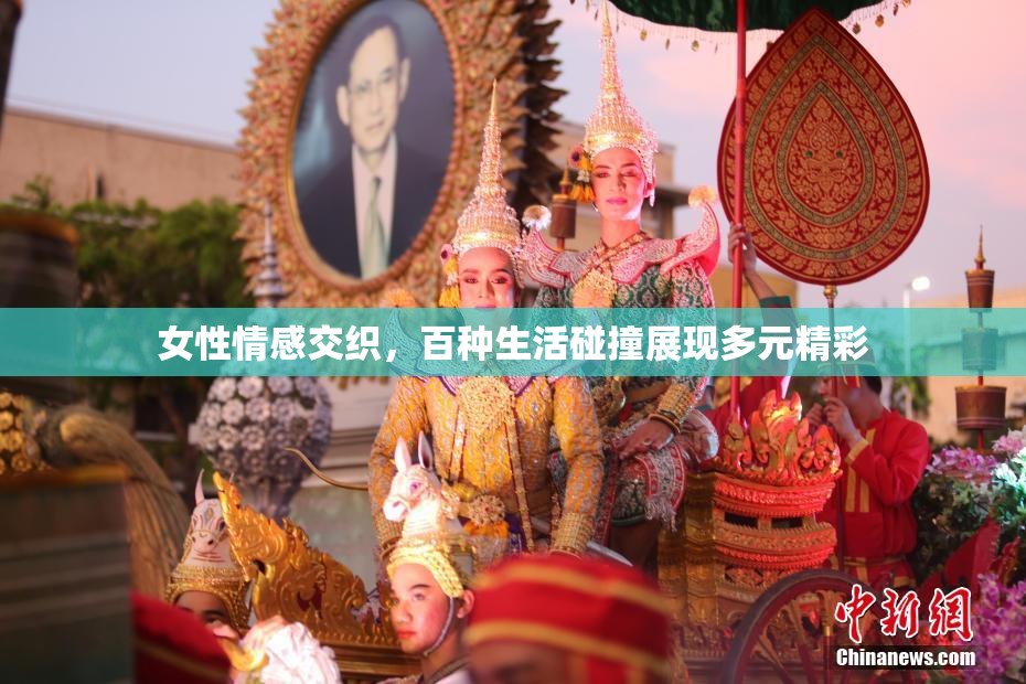 女性情感交织，百种生活碰撞展现多元精彩