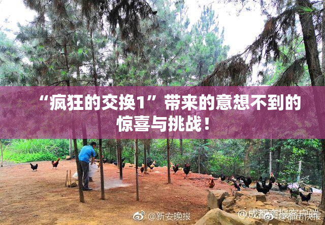 “疯狂的交换1”带来的意想不到的惊喜与挑战！