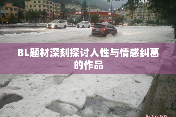 BL题材深刻探讨人性与情感纠葛的作品