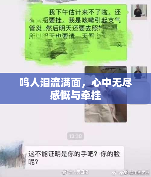 鸣人泪流满面，心中无尽感慨与牵挂