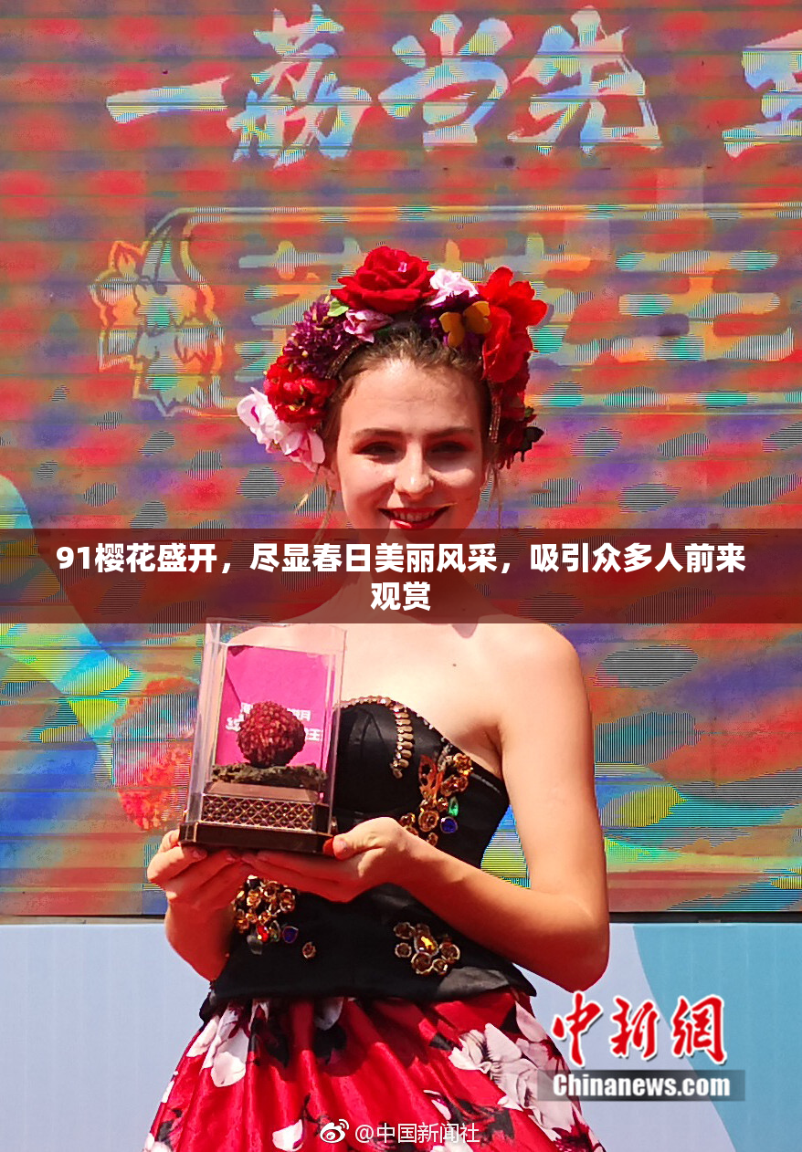 91樱花盛开，尽显春日美丽风采，吸引众多人前来观赏