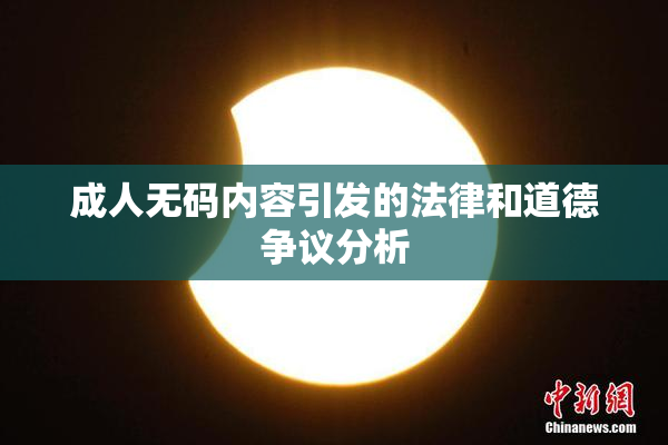 成人无码内容引发的法律和道德争议分析