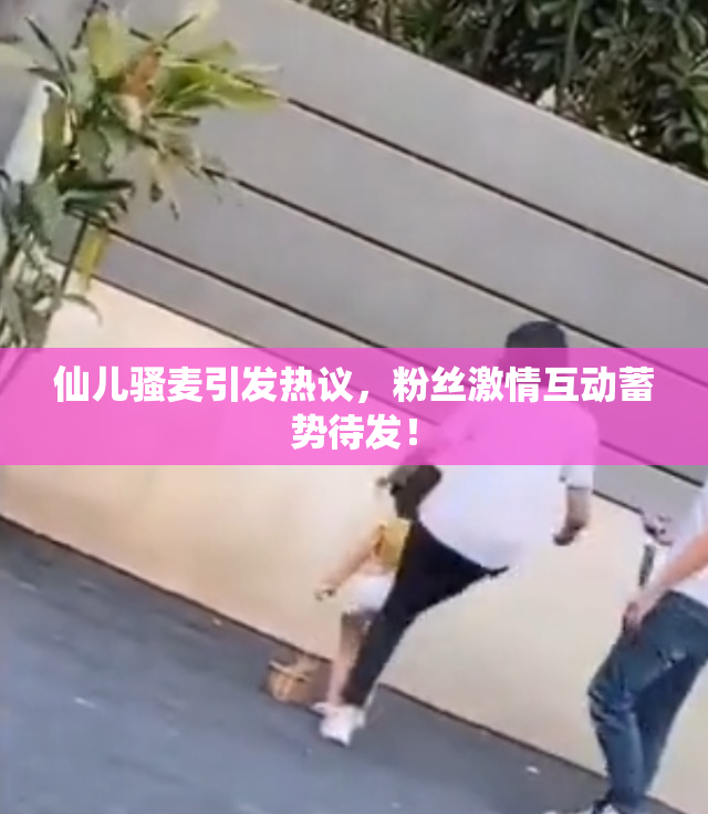 仙儿骚麦引发热议，粉丝激情互动蓄势待发！