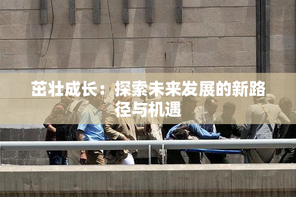 茁壮成长：探索未来发展的新路径与机遇