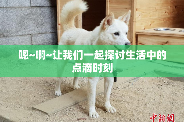 嗯~啊~让我们一起探讨生活中的点滴时刻
