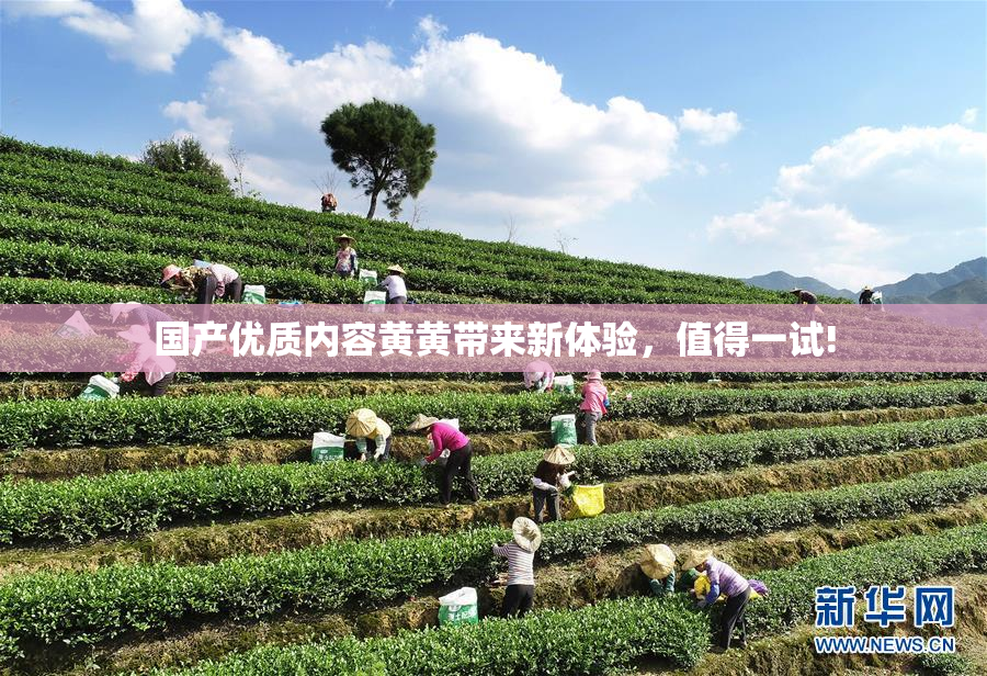 国产优质内容黄黄带来新体验，值得一试!