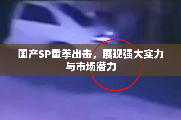 国产SP重拳出击，展现强大实力与市场潜力