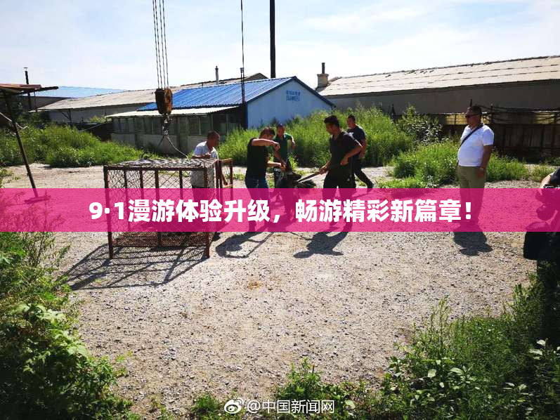 9·1漫游体验升级，畅游精彩新篇章！