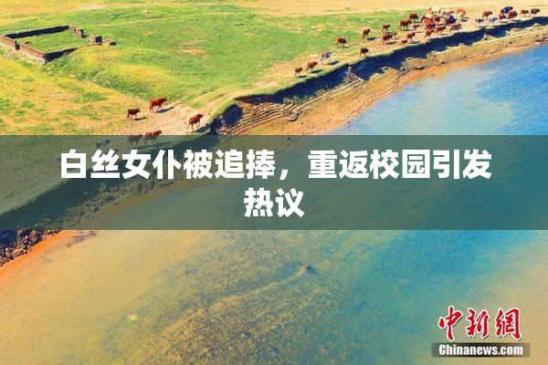 白丝女仆被追捧，重返校园引发热议