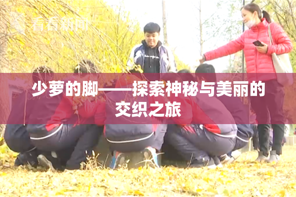 少萝的脚——探索神秘与美丽的交织之旅