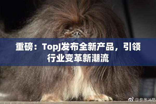 重磅：TopJ发布全新产品，引领行业变革新潮流