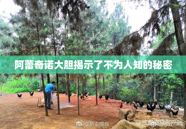 阿蕾奇诺大胆揭示了不为人知的秘密