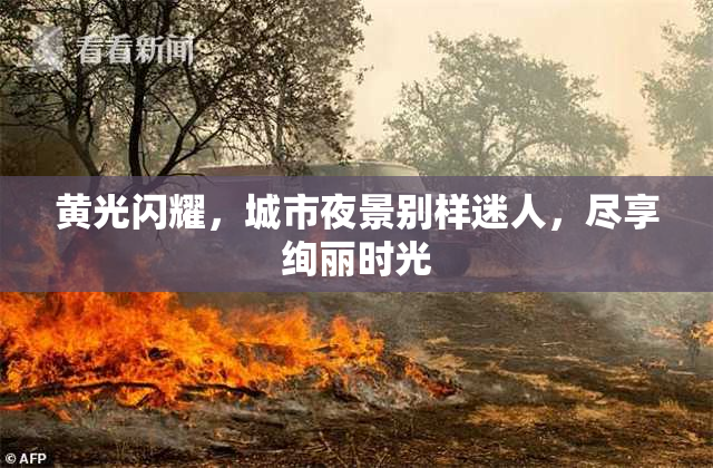 黄光闪耀，城市夜景别样迷人，尽享绚丽时光