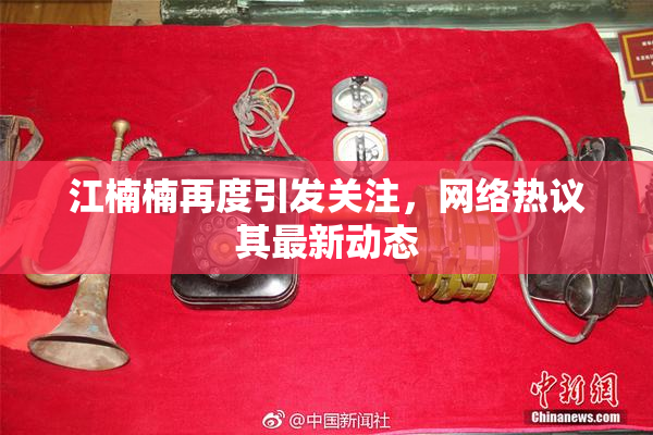 江楠楠再度引发关注，网络热议其最新动态