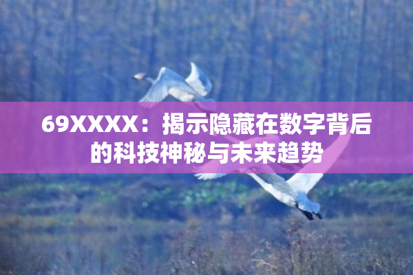 69ΧΧΧΧ：揭示隐藏在数字背后的科技神秘与未来趋势