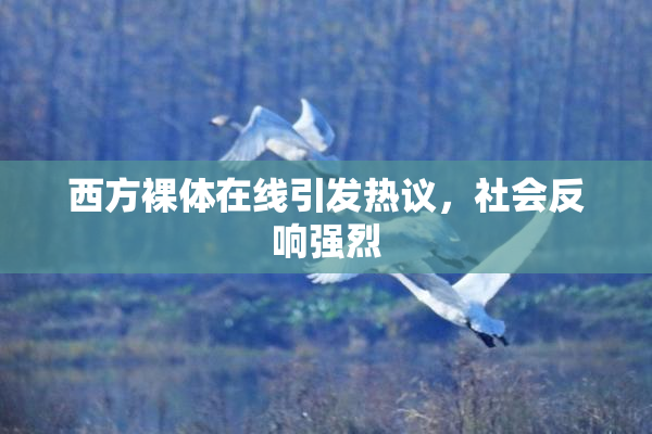 西方裸体在线引发热议，社会反响强烈
