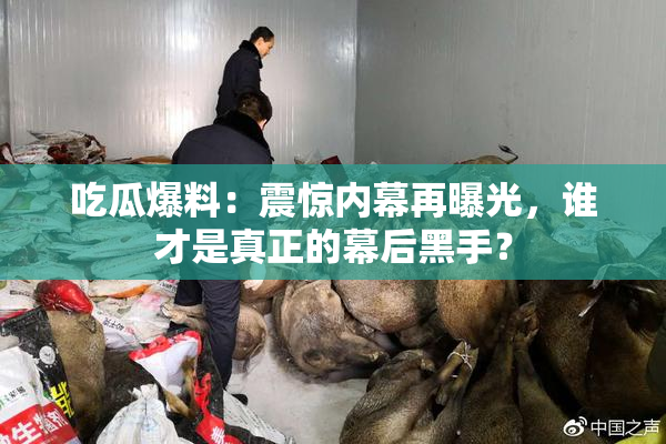 吃瓜爆料：震惊内幕再曝光，谁才是真正的幕后黑手？