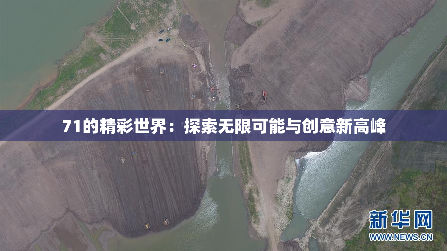 71的精彩世界：探索无限可能与创意新高峰