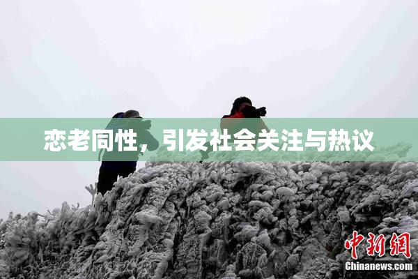 恋老同性，引发社会关注与热议