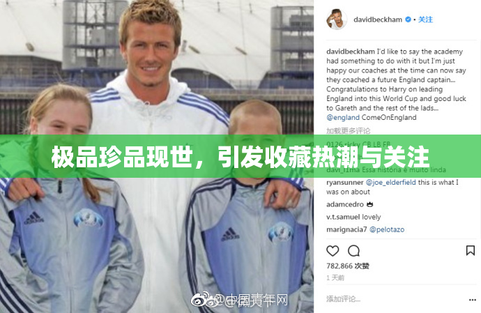 极品珍品现世，引发收藏热潮与关注