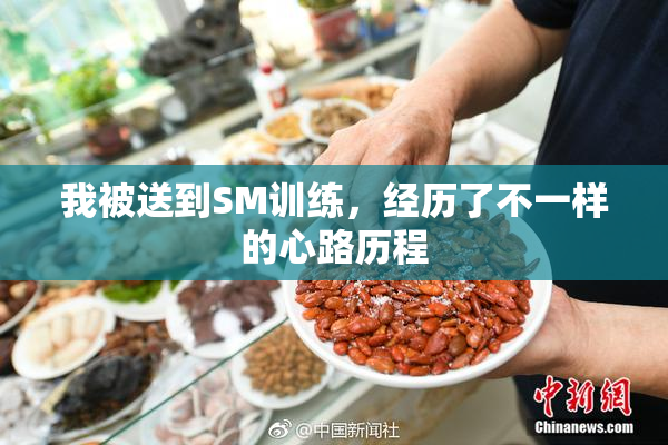 我被送到SM训练，经历了不一样的心路历程