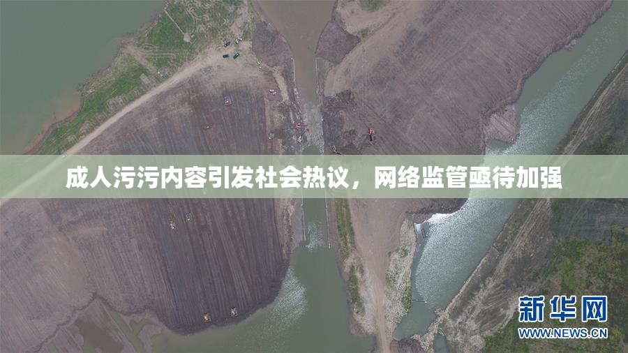 成人污污内容引发社会热议，网络监管亟待加强