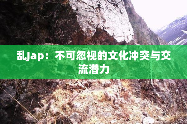 乱Jap：不可忽视的文化冲突与交流潜力