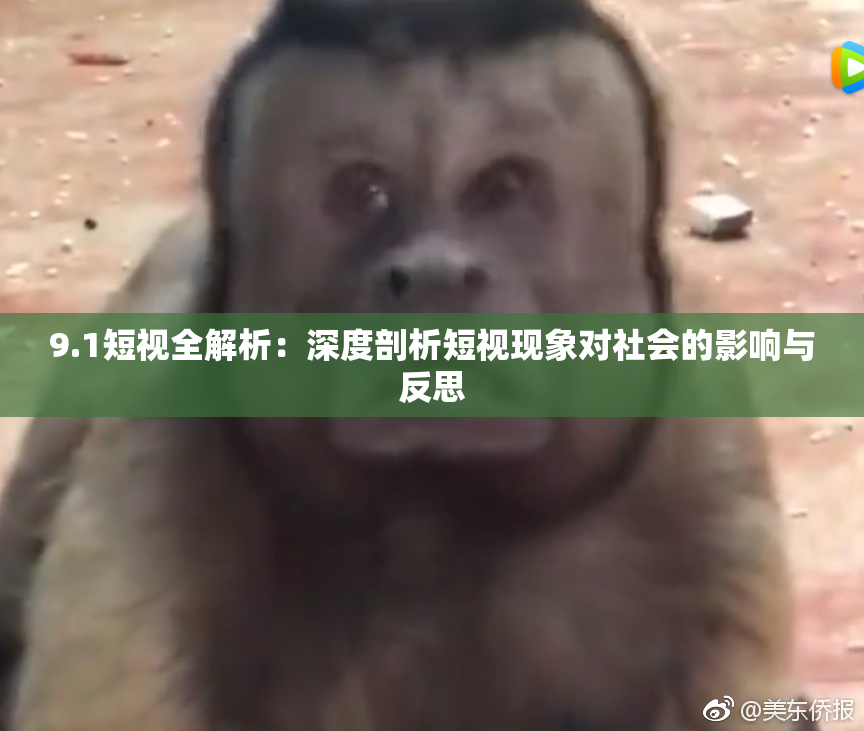 9.1短视全解析：深度剖析短视现象对社会的影响与反思