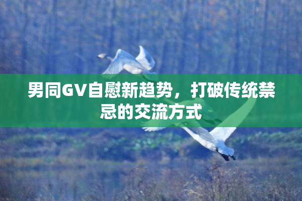 男同GV自慰新趋势，打破传统禁忌的交流方式