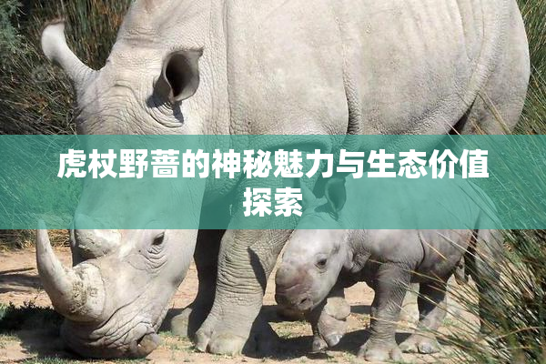 虎杖野蔷的神秘魅力与生态价值探索