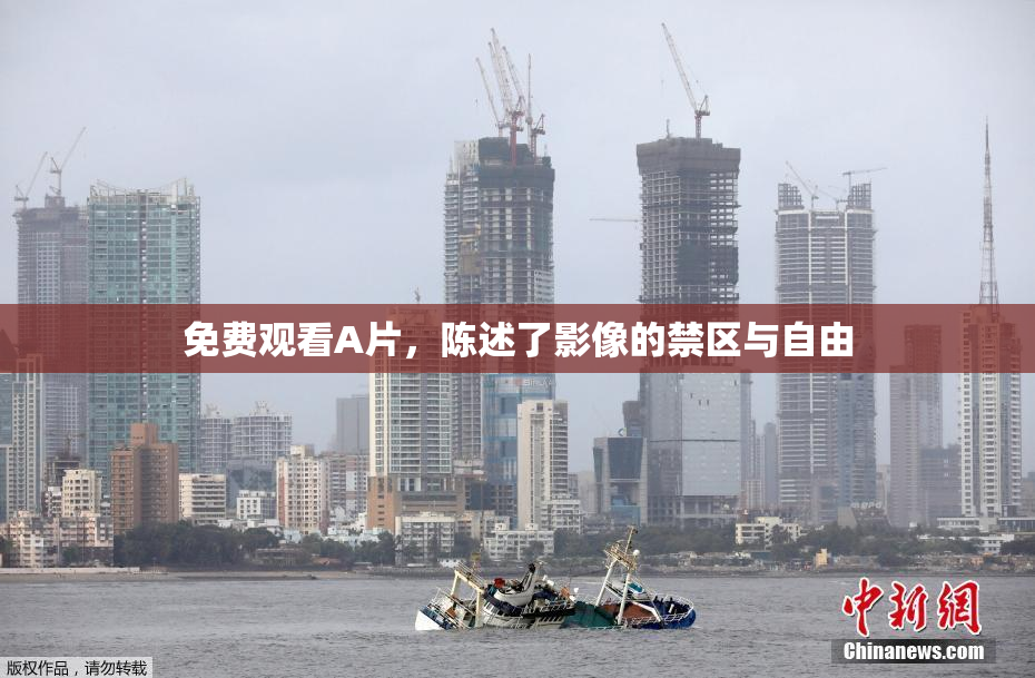 免费观看A片，陈述了影像的禁区与自由