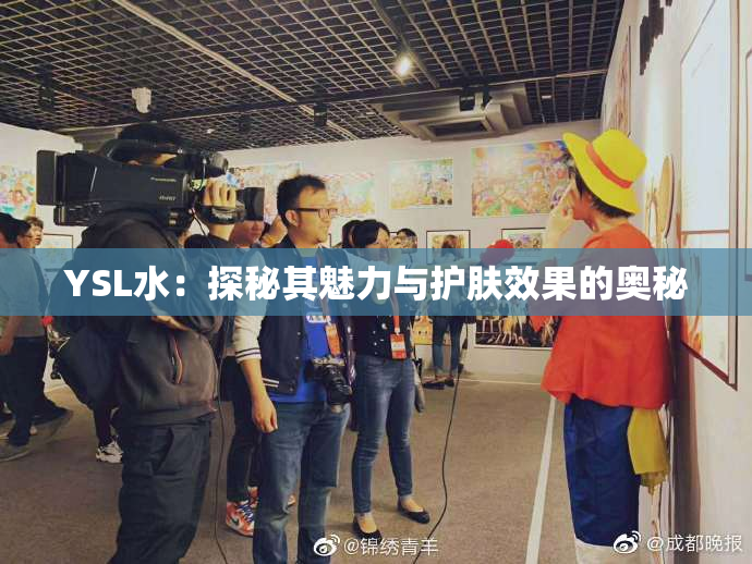 YSL水：探秘其魅力与护肤效果的奥秘