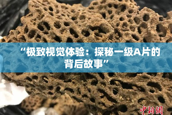 “极致视觉体验：探秘一级A片的背后故事”