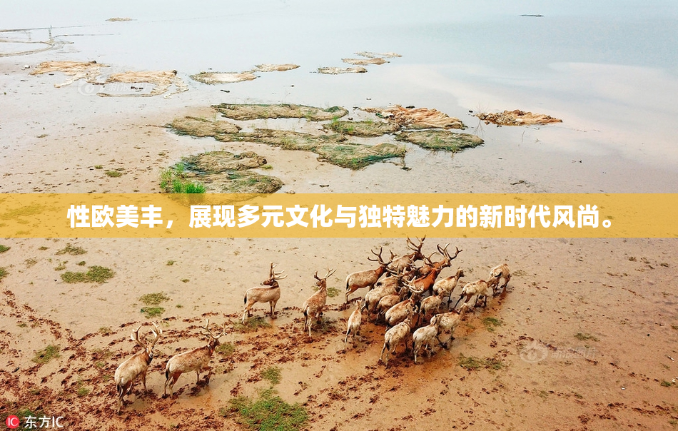 性欧美丰，展现多元文化与独特魅力的新时代风尚。