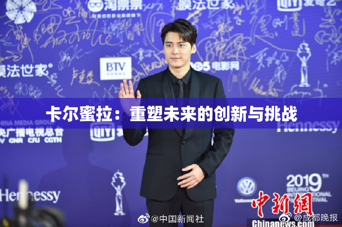 卡尔蜜拉：重塑未来的创新与挑战