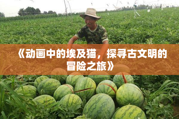 《动画中的埃及猫，探寻古文明的冒险之旅》