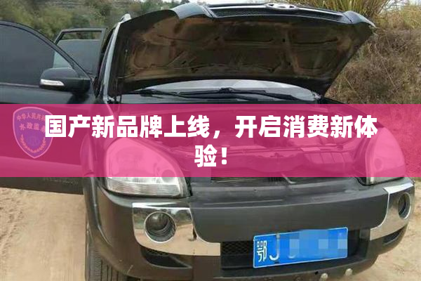 国产新品牌上线，开启消费新体验！